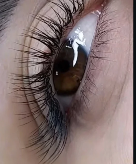 Wimpernverlängerung im Profil, Nahaufnahme